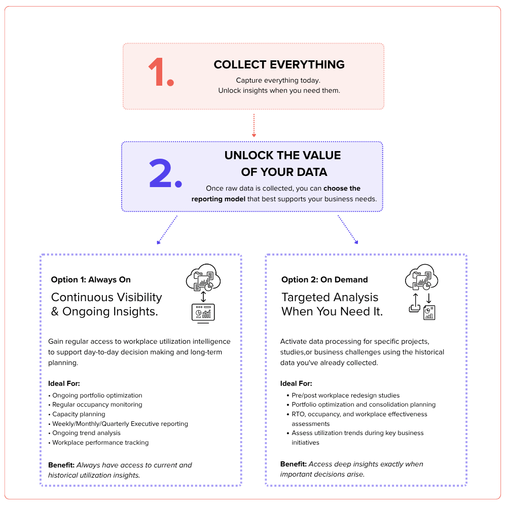 Collect Everything Graphic (1)-2